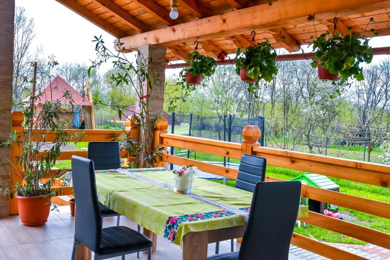 Отель Casa Nely Сигету-Мармацией Экстерьер фото