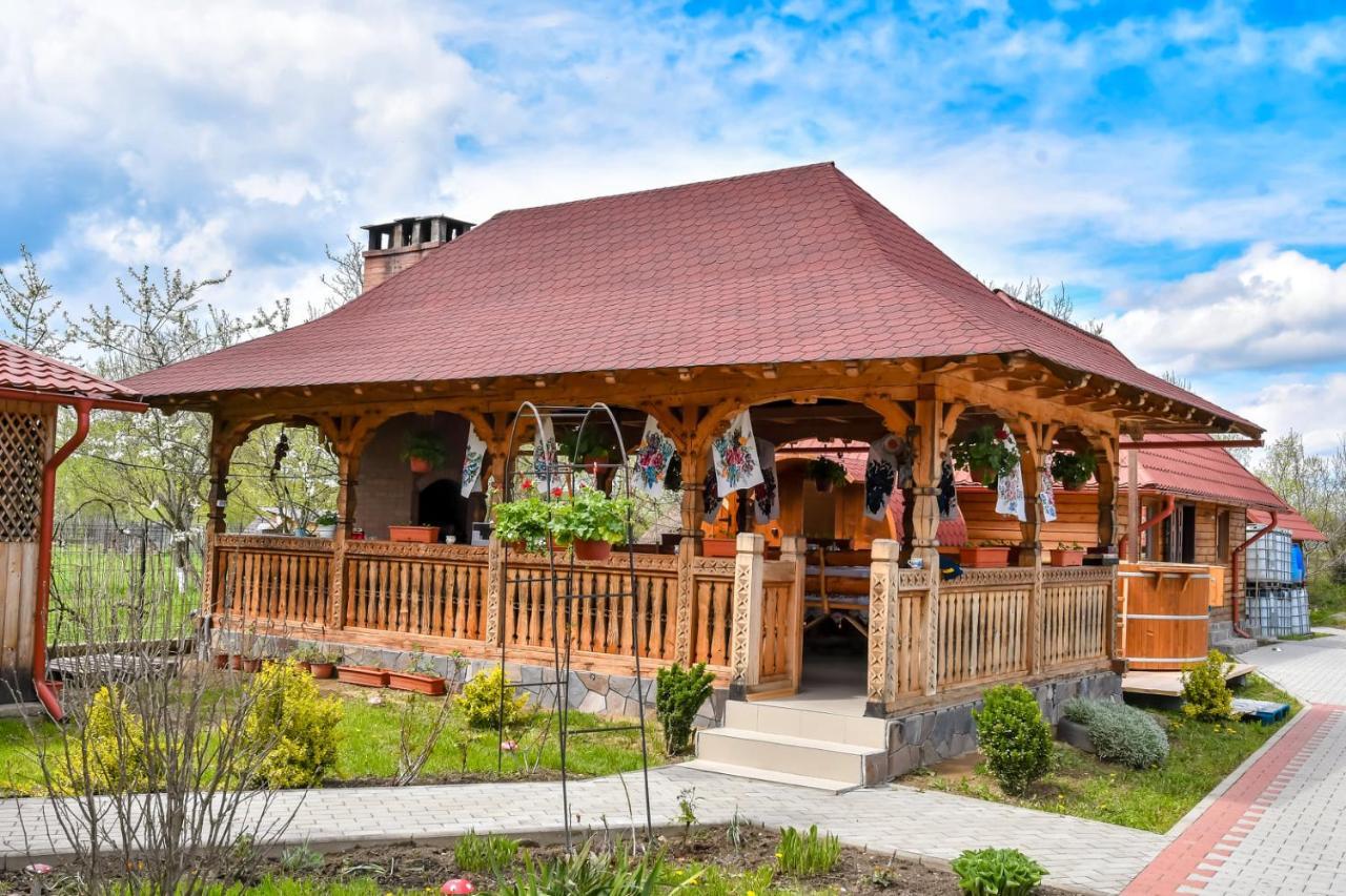 Отель Casa Nely Сигету-Мармацией Экстерьер фото